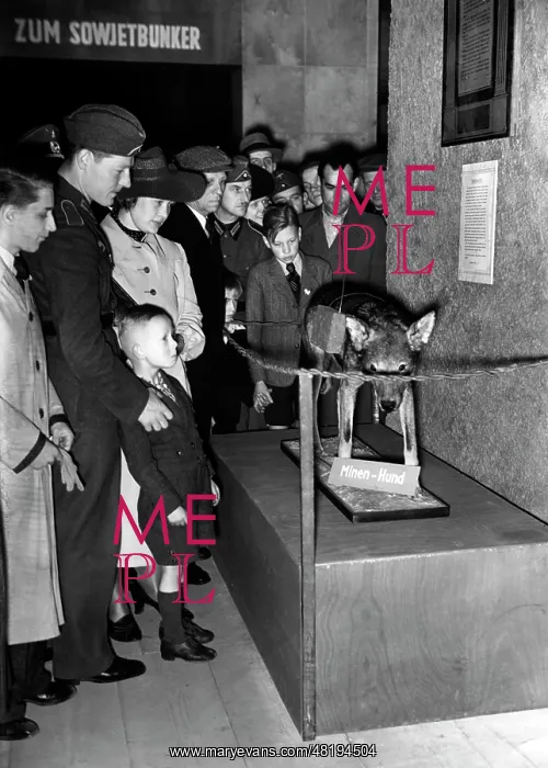 : The exhibition The Soviet Paradise, 1942 : The exhibition The Soviet Paradise, 1942