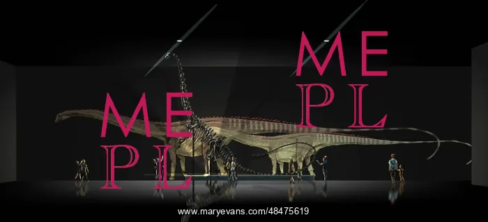 : Exhibition space featuring Diplodocus longus : Exhibition space featuring Diplodocus longus