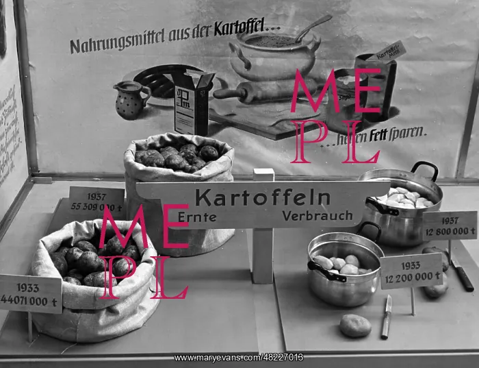 : The exhibition Four Year Plan, 1938 : The exhibition Four Year Plan, 1938