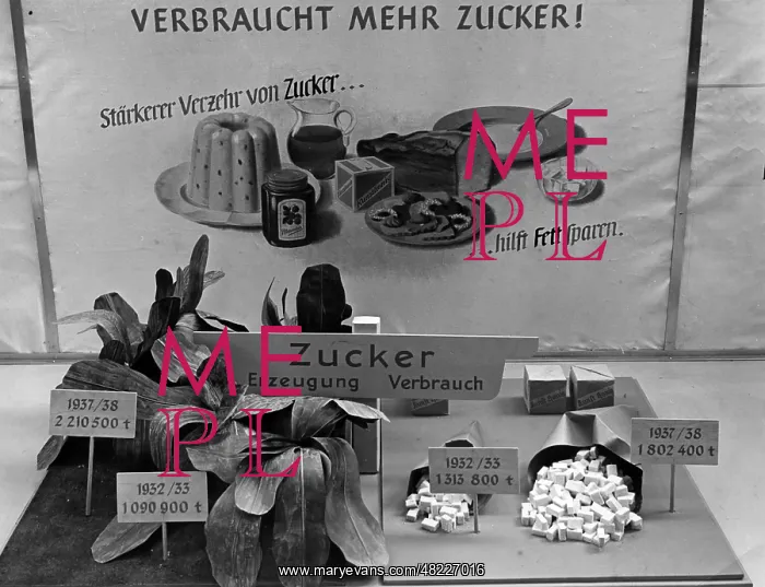 : The exhibition Four Year Plan, 1938 : The exhibition Four Year Plan, 1938