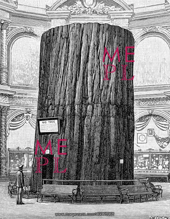 : exhibitions, world exposition, Chicago, World : exhibitions, world exposition, Chicago, World