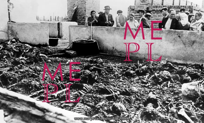 : The exhumed bodies of prisoners at the concentraton ? : The exhumed bodies of prisoners at the concentraton ?