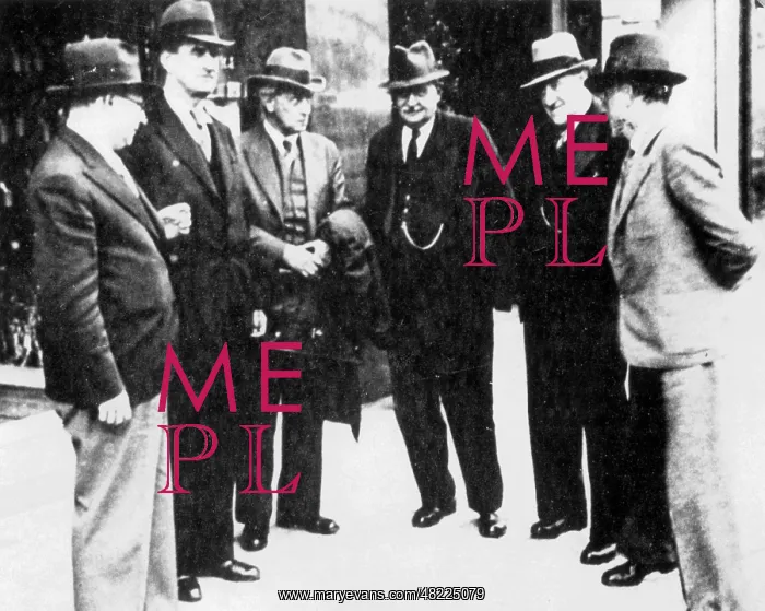 : The exiled leadership of the SPD in Prague : The exiled leadership of the SPD in Prague
