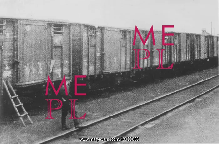 : Exiles transported to Siberian camps in cattle wagons : Exiles transported to Siberian camps in cattle wagons