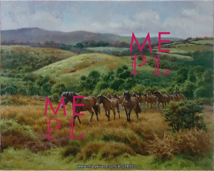 : Exmoor Ponies : Exmoor Ponies