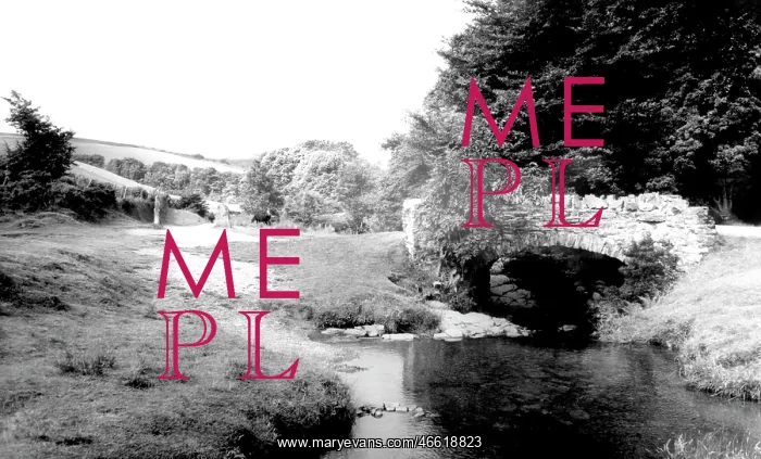  : Exmoor, River Lyn c1965