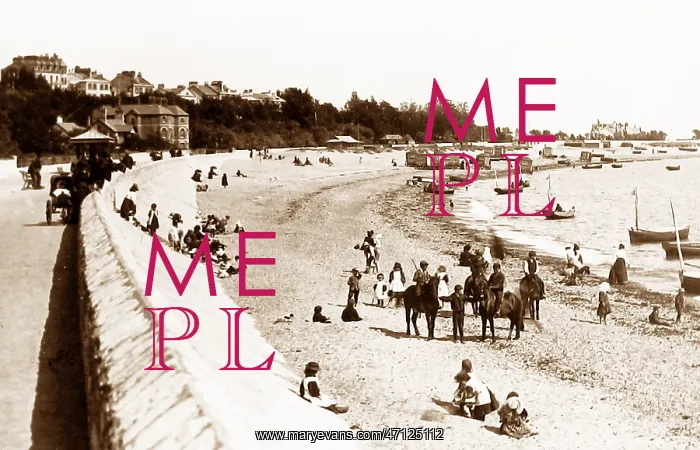  : Exmouth beach