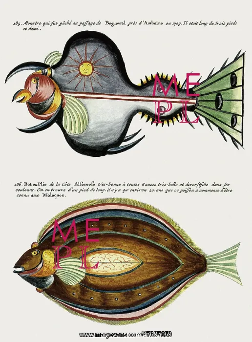  : Two Exotic Fish