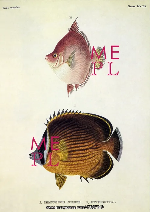  : Exotic Fish