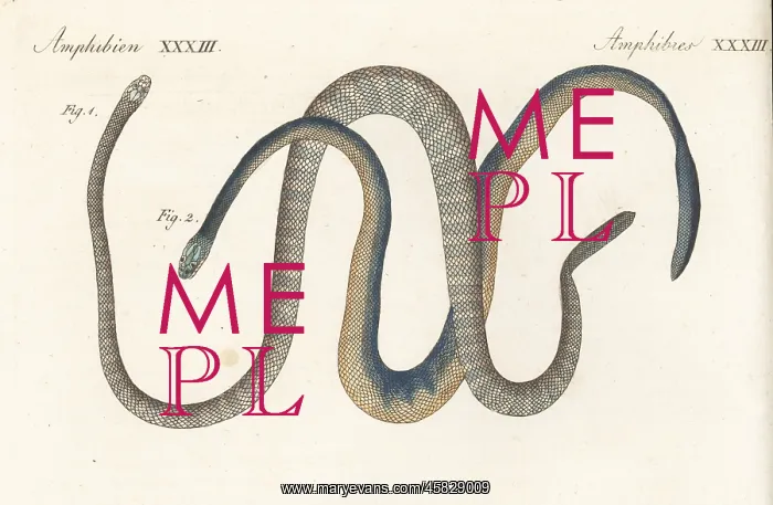 : Exotic snakes of India : Exotic snakes of India