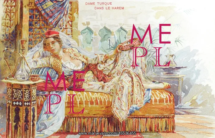  : Exotic Turkish Woman of the Harem