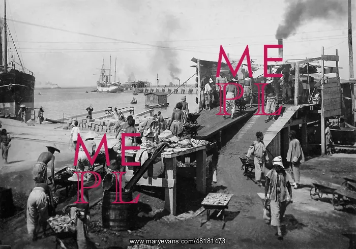 : Expansion of the harbor of Quingdao, 1904 : Expansion of the harbor of Quingdao, 1904