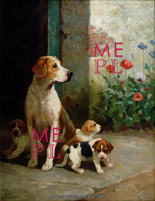 : Expectations – dog with three puppies : Expectations – dog with three puppies