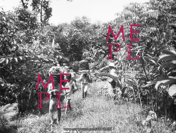 : Expedition in Africa, 1935 : Expedition in Africa, 1935
