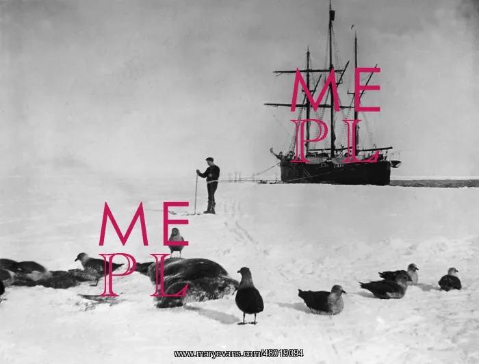 : Expedition ship Fram in the Antarctic : Expedition ship Fram in the Antarctic