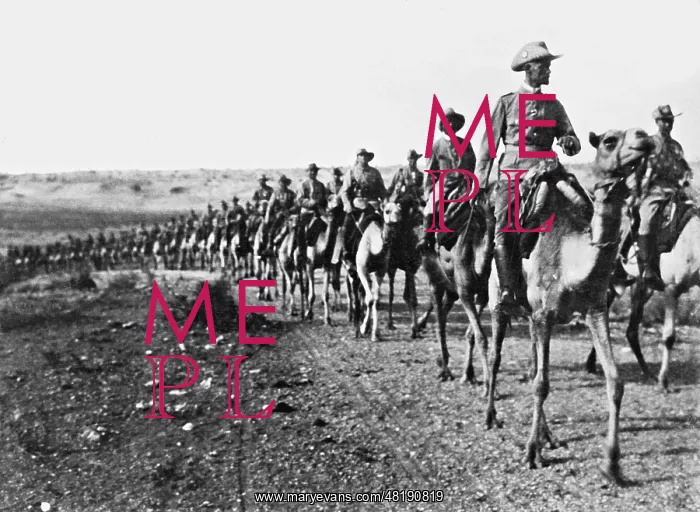 : Expeditions corps against Simon Copper, 1908 : Expeditions corps against Simon Copper, 1908