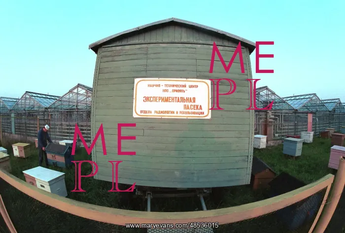 : Experimental apiary near Chernobyl Nuclear Power : Experimental apiary near Chernobyl Nuclear Power