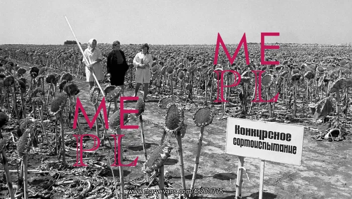 : Experimental ground of All-Union research institute : Experimental ground of All-Union research institute