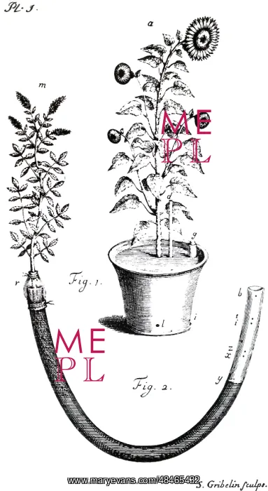  : Experiments, showing the quantities imbibed and