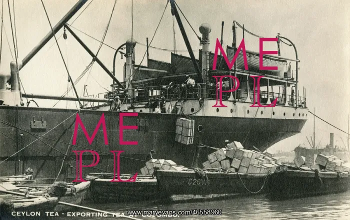  : Exporting Ceylon Tea at Colombo Docks - Sri Lanka