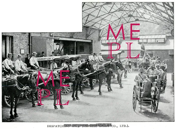 : Express Dairy - despatching milk 1902 : Express Dairy - despatching milk 1902