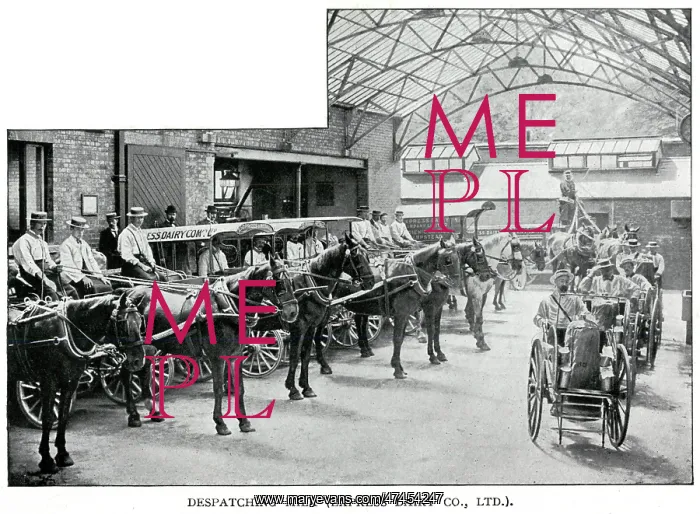 : Express Dairy - despatching milk 1902 : Express Dairy - despatching milk 1902