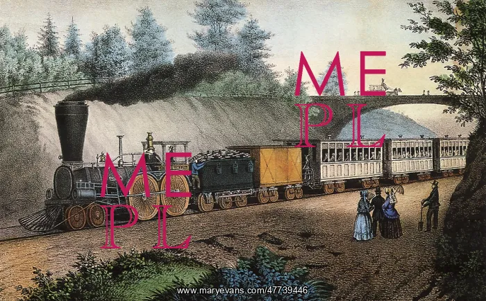 : The Express Train : The Express Train