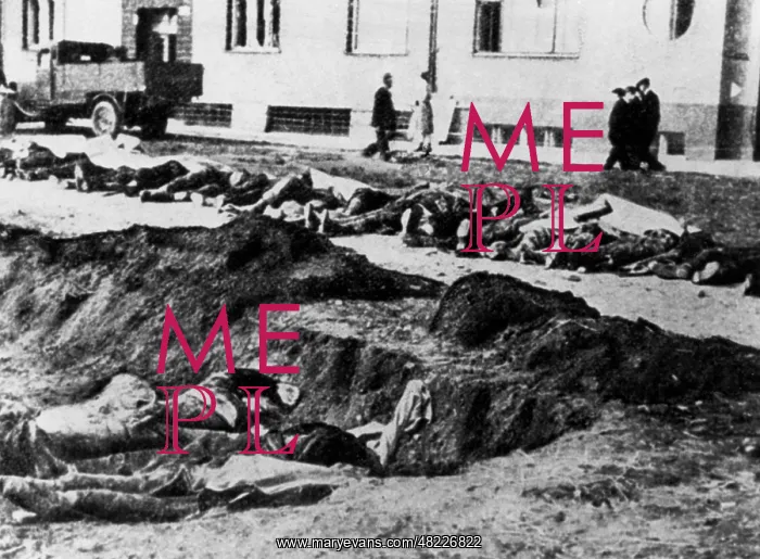 : Expulsion of the German population from the Sudetenland : Expulsion of the German population from the Sudetenland