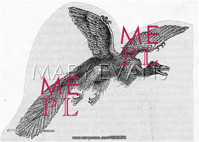 : EXT. BIRD / ARCHEOPTERYX : EXT. BIRD / ARCHEOPTERYX