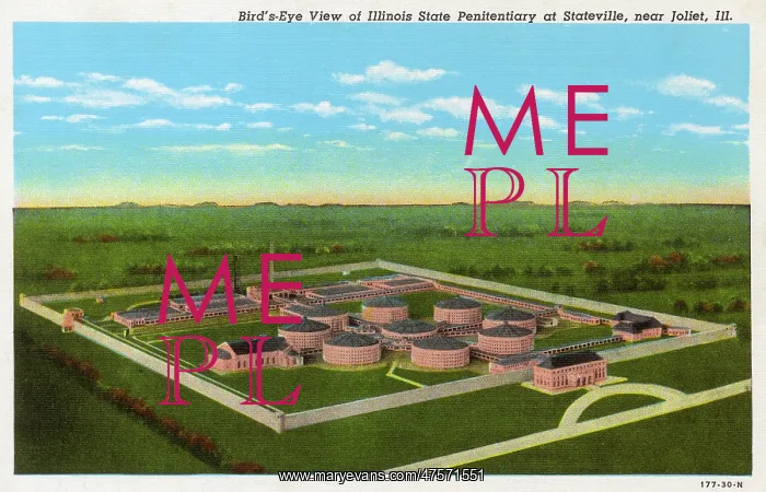 : Exterior view of the Illinois State Penitentiary : Exterior view of the Illinois State Penitentiary
