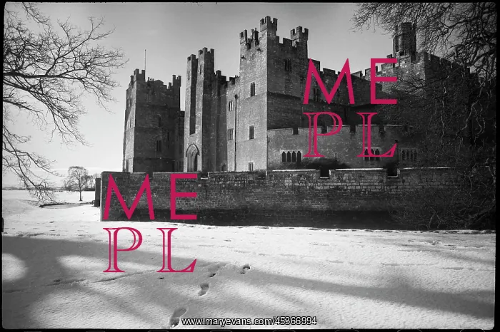 : An exterior view of Raby Castle, showing the east elevation : An exterior view of Raby Castle, showing the east elevation