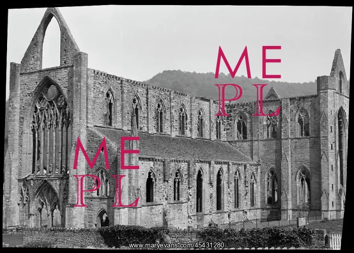 : Exterior view of Tintern Abbey : Exterior view of Tintern Abbey