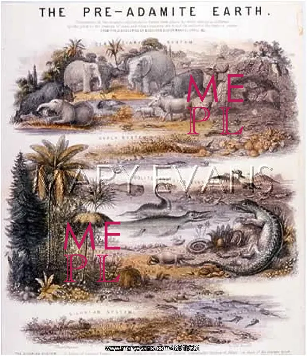 : EXTINCT ANIMALS C1840 : EXTINCT ANIMALS C1840