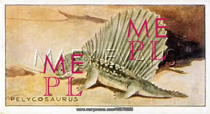  : EXTINCT / DIMETRODON