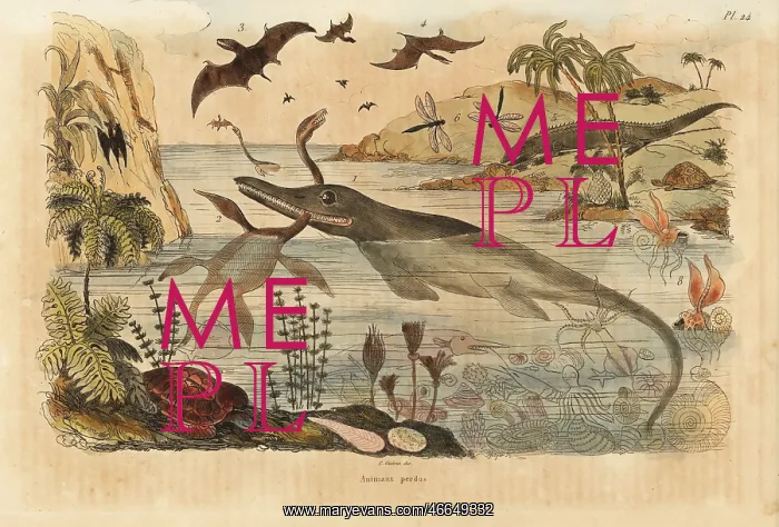 : Extinct dinosaurs, ichthyosaur, plesiosaur, pterodactyl, etc : Extinct dinosaurs, ichthyosaur, plesiosaur, pterodactyl, etc