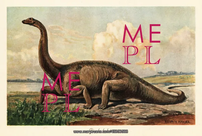 : Extinct Diplodocus longus on the plains : Extinct Diplodocus longus on the plains