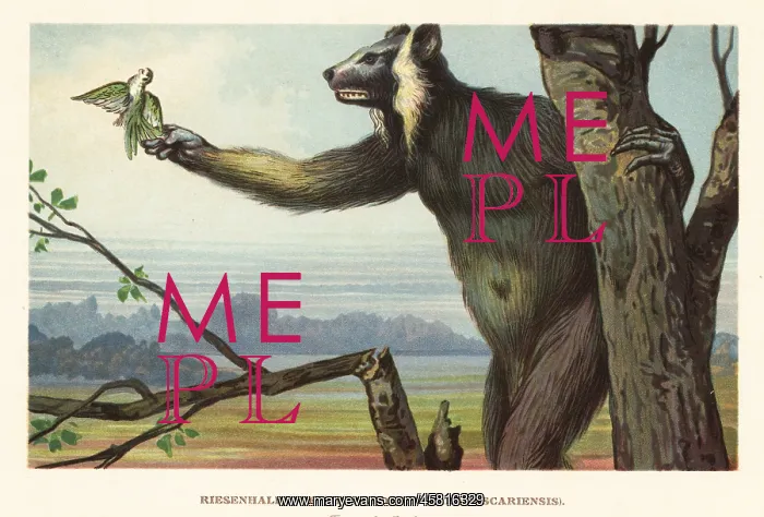  : Extinct giant lemur of Madagascar, Megaladapis