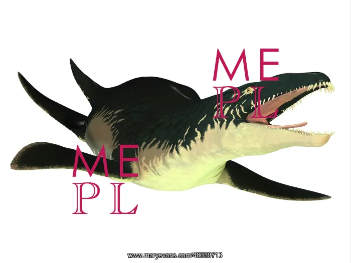 : An extinct Liopleurodon reptile, white background : An extinct Liopleurodon reptile, white background