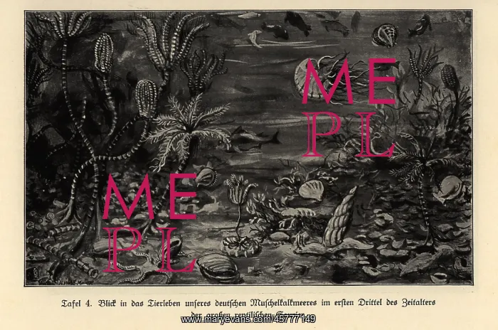  : Extinct marine life in the first third of the Mesosoic