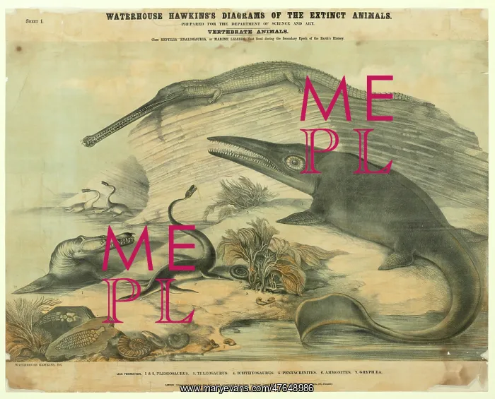 : Extinct marine reptiles : Extinct marine reptiles