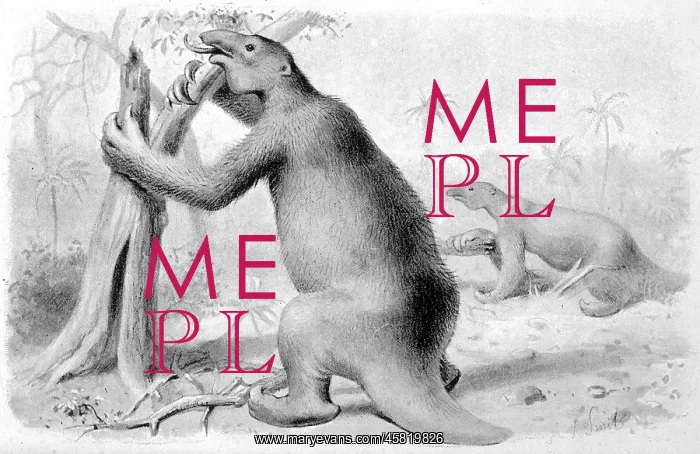 : EXTINCT / MEGATHERIUM : EXTINCT / MEGATHERIUM