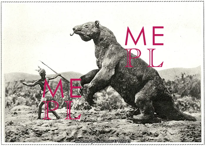  : EXTINCT / MEGATHERIUM