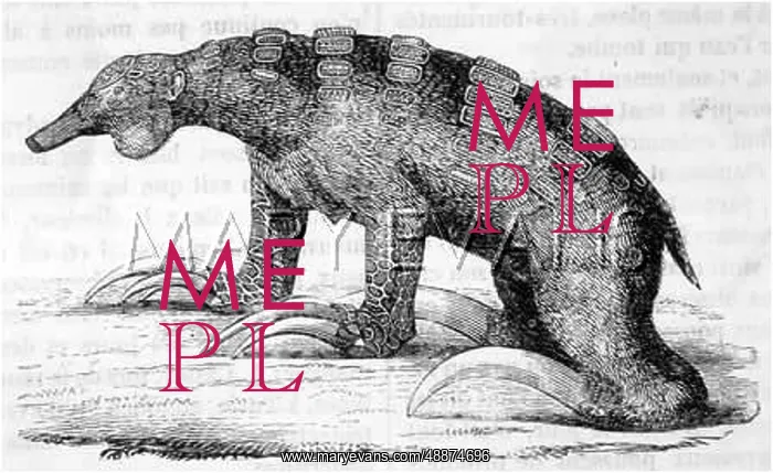  : EXTINCT / MEGATHERIUM
