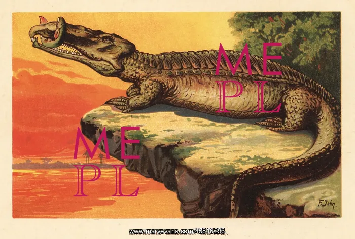 : Extinct phytosaur, Nicrosaurus kapffi : Extinct phytosaur, Nicrosaurus kapffi