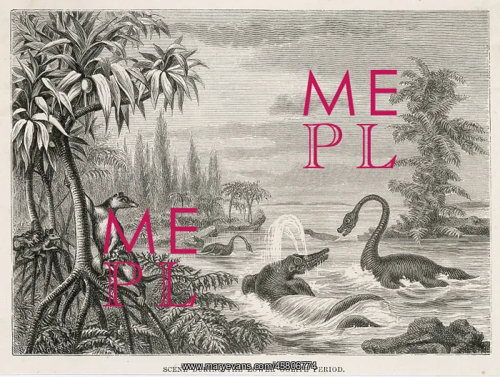  : EXTINCT PLESIOSAUR