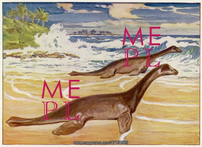  : EXTINCT / PLESIOSAURS