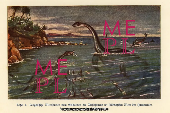 : Extinct Plesiosaurs and Ichthyosaur : Extinct Plesiosaurs and Ichthyosaur