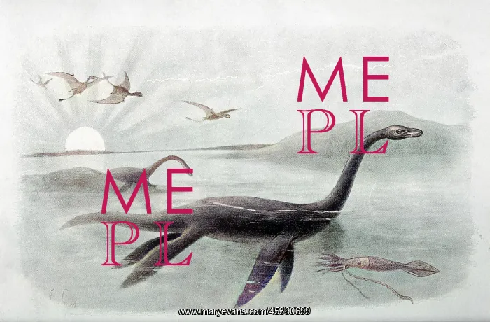 : EXTINCT / PLESIOSAURUS : EXTINCT / PLESIOSAURUS