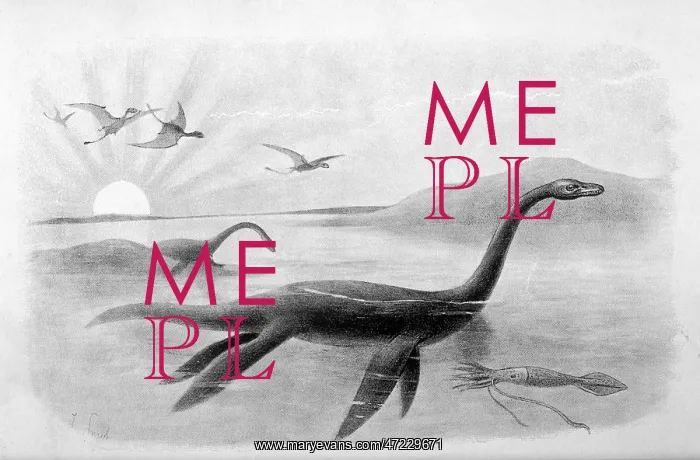  : EXTINCT / PLESIOSAURUS