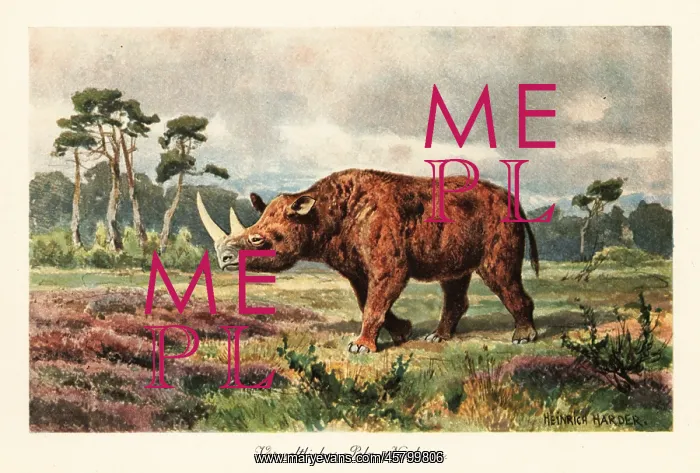 : Extinct woolly rhinoceros on the steppes : Extinct woolly rhinoceros on the steppes